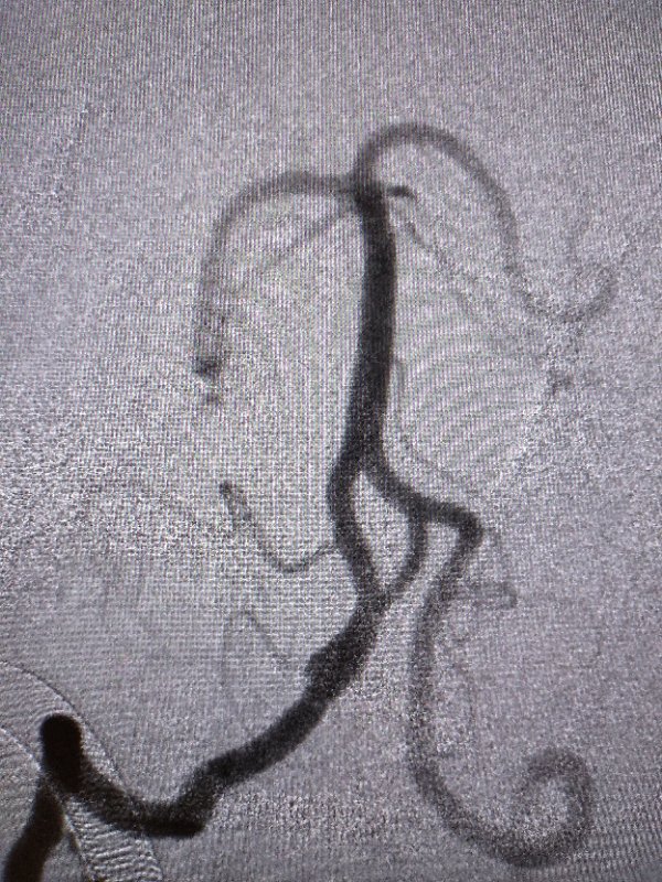 1592564540405009615.jpg 微信图片_20200619190001.jpg