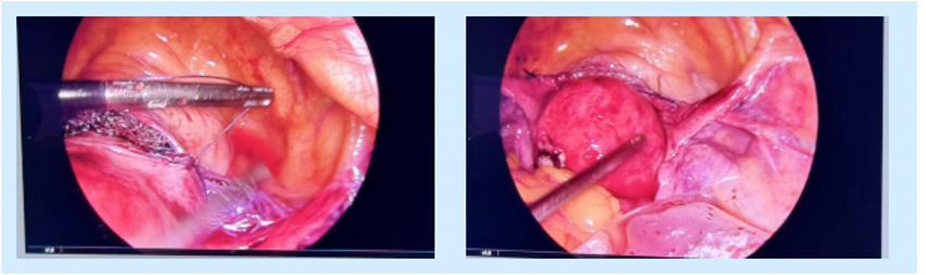 1750733482506040409.png 微信图片_20250624104420_conew1.png