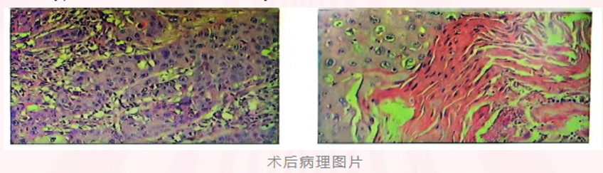 1750734768539050409.png 微信图片_20250624110617_conew1.png