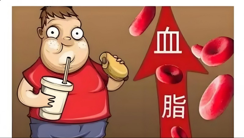 1758072397631067260.jpg conew_图片1.jpg