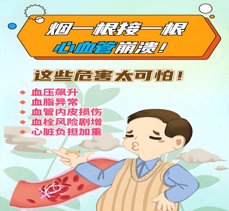 1758072432992076770.jpg conew_图片3.jpg