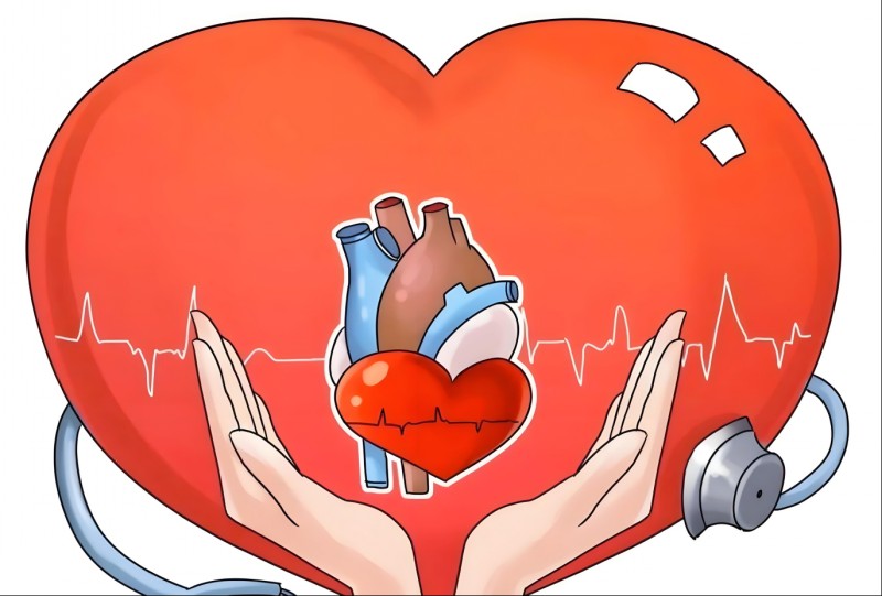 1758072487608049968.jpg conew_图片6.jpg