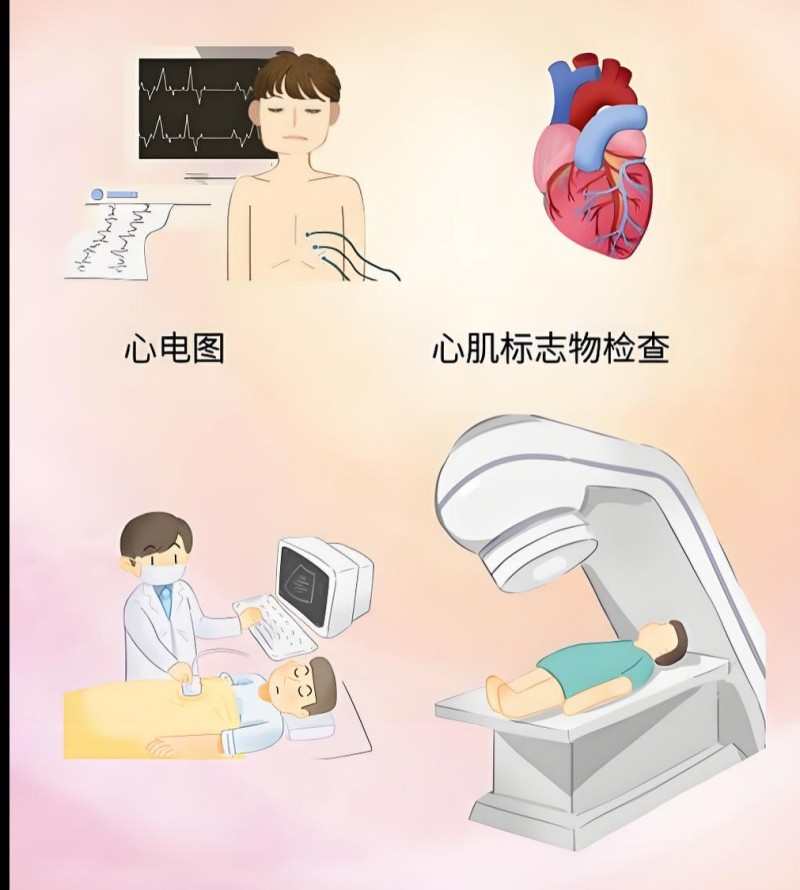 1758073348782035597.jpg conew_图片12.jpg